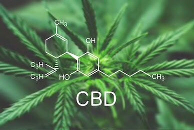 The Best CBD Items You Can Buy Online