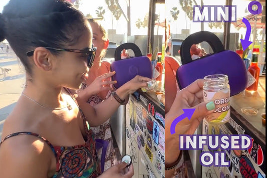 Instant Edibles on the Go: Empanadas on the Boardwalk