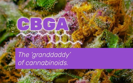 What is CBGA (Cannabigerolic Acid) & its Effects & Benefits?