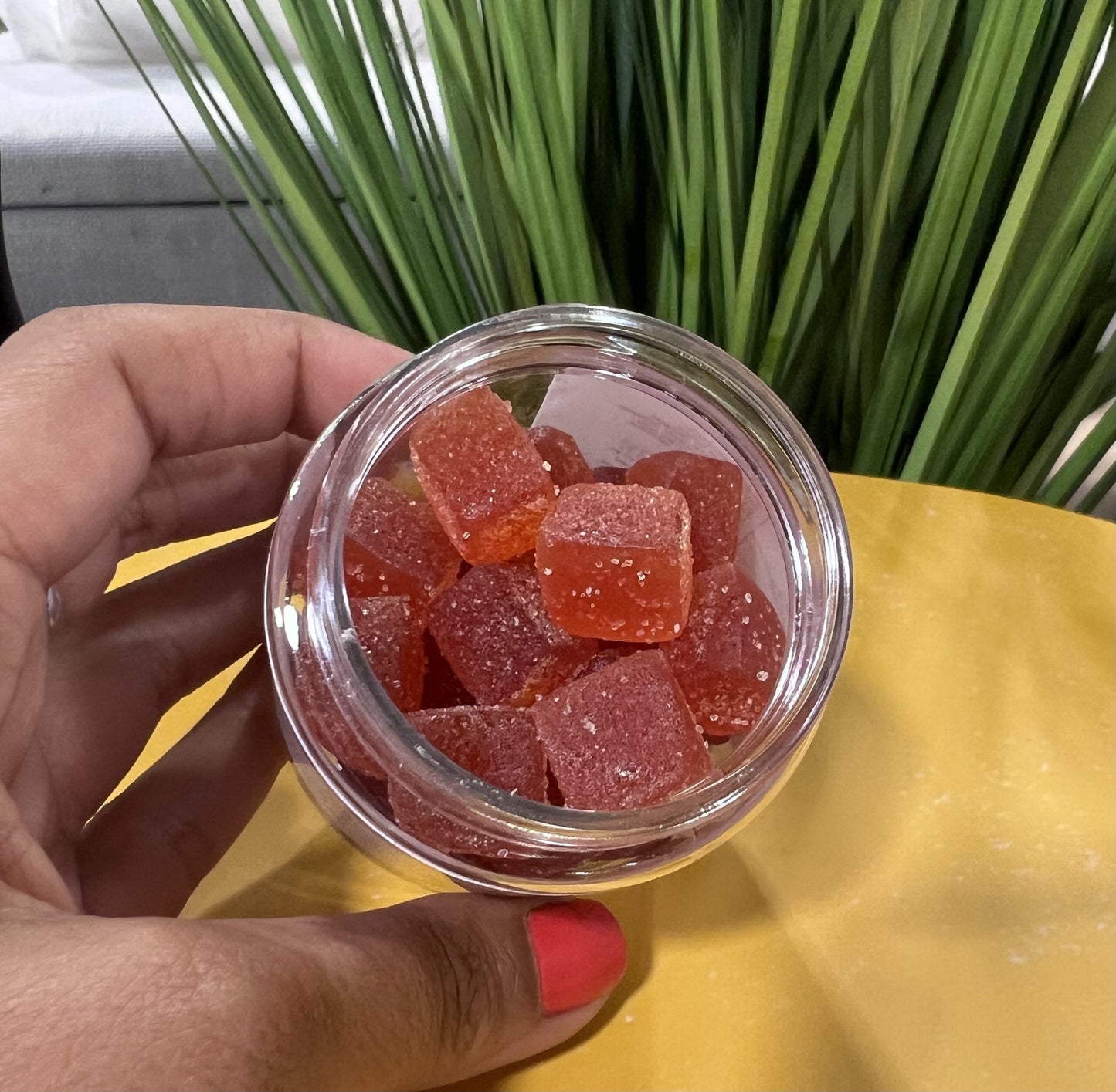 CBG & CBD Focus Gummies