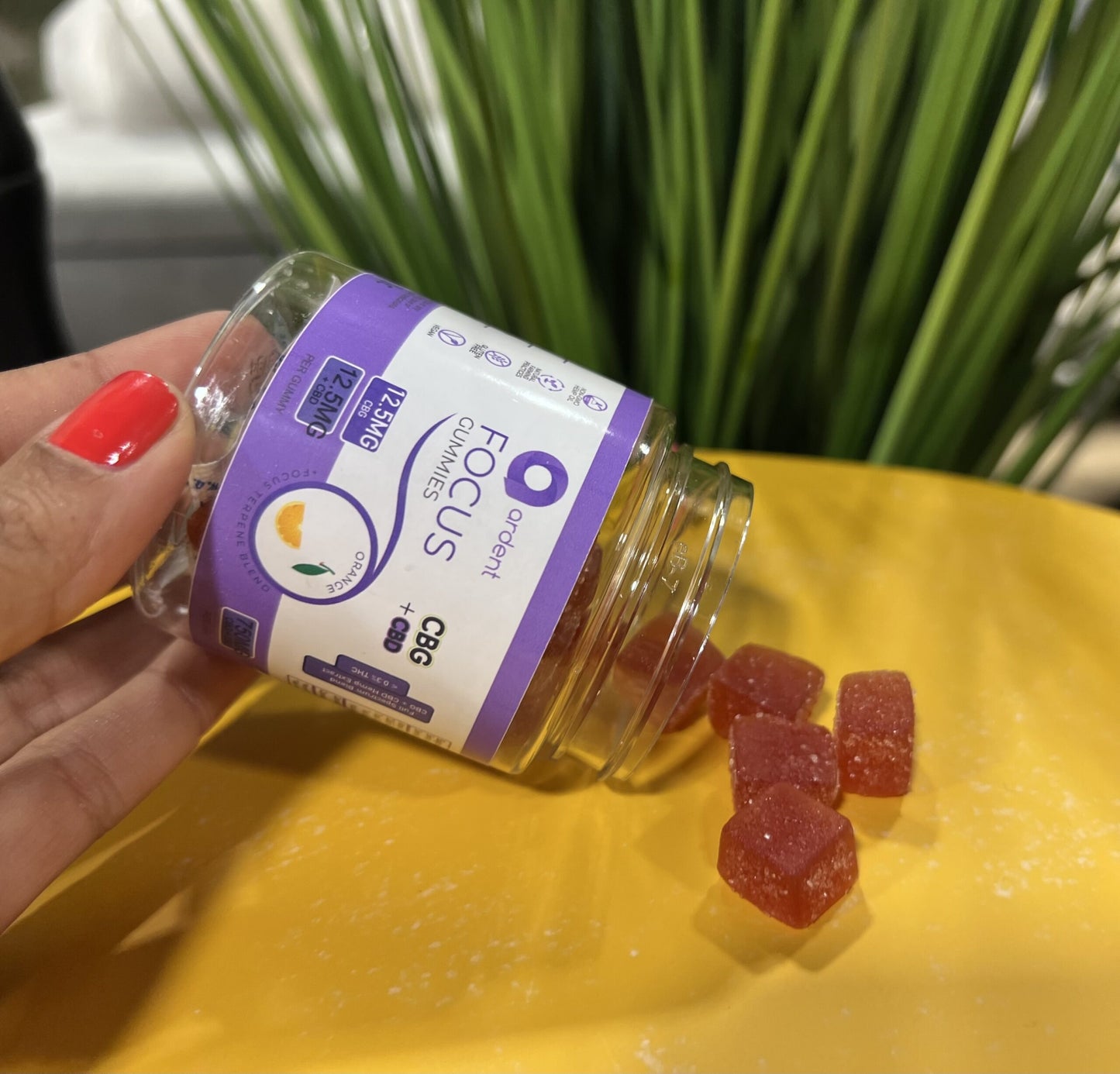 CBG & CBD Focus Gummies