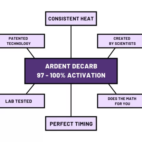 FX Best Seller Bundle