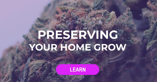 How To Preserve Your Home Grow