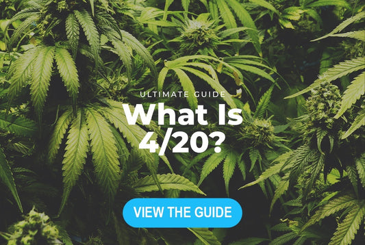 What is 4/20?