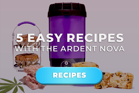 5 Easy Recipes With the Ardent Nova