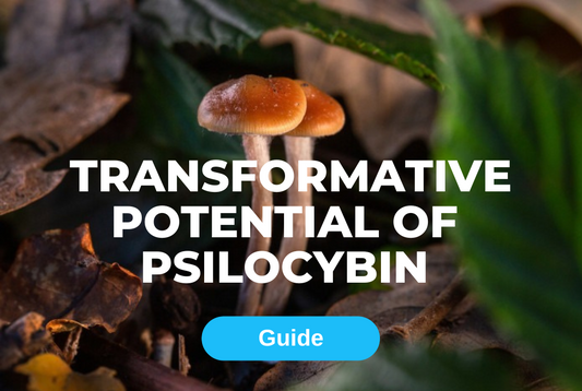Nature's Gift Unwrapped: The Transformative Potential of Psilocybin in Holistic Healing