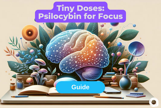 Tiny Doses, Big Focus: Psilocybin's Little Secret