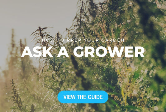 Ask A Grower