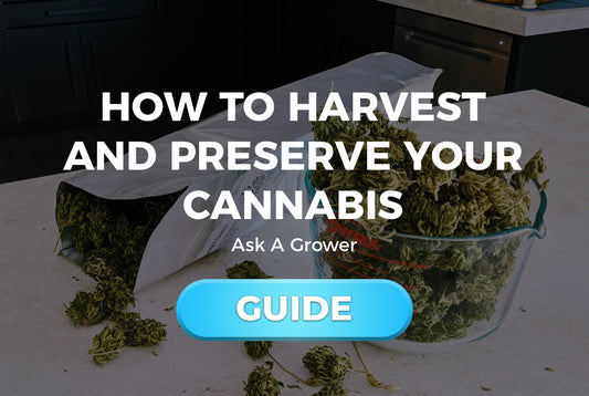 Ask A Grower