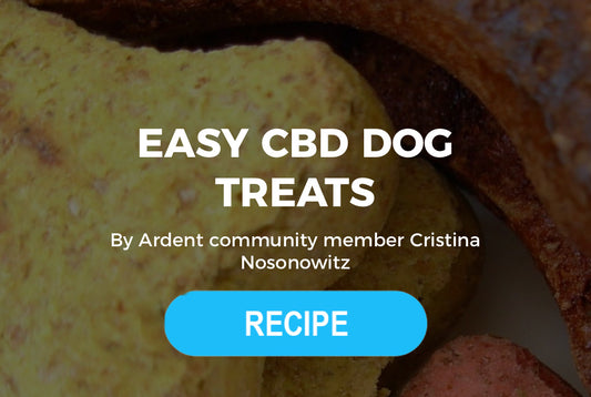 Easy CBD Dog Treats