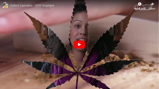 Ardent Cannabis - VICE Segment