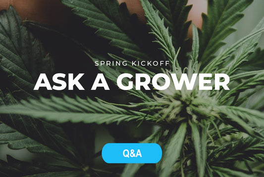 Springtime 2021 Ask A Grower