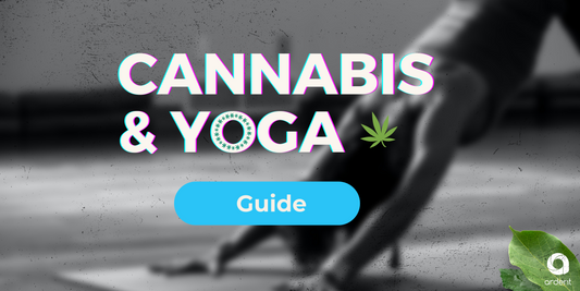 Cannabis & Yoga