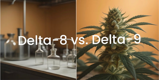 Synthetic vs. Natural Cannabinoids: A Closer Look at Delta-8 and Delta-9 THC
