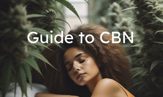 Guide to CBN - A Unique Cannabinoid and Its Potential