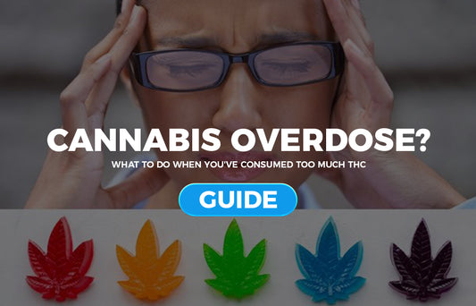 Cannabis Overdose? 6 Things to Do if You or Someone You Know Eats Too Much Marijuana