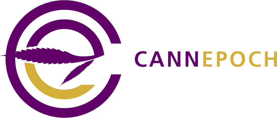 Women in History Month Series: Shanel Lindsay