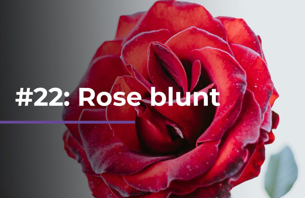 HOW TO MAKE A ROSE BLUNT!! 