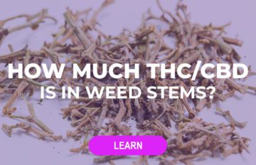 How much THC or CBD is in weed stems?