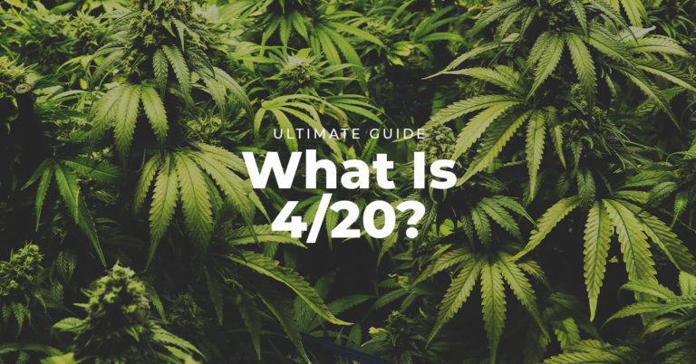 What Is 4 20 Ardent Cannabis