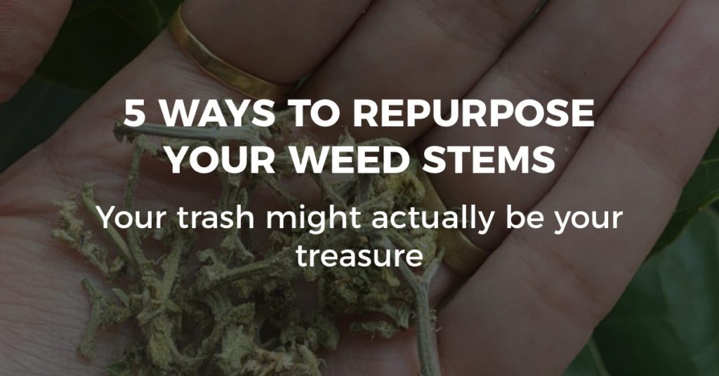 Recognize good quality weed in 5 steps